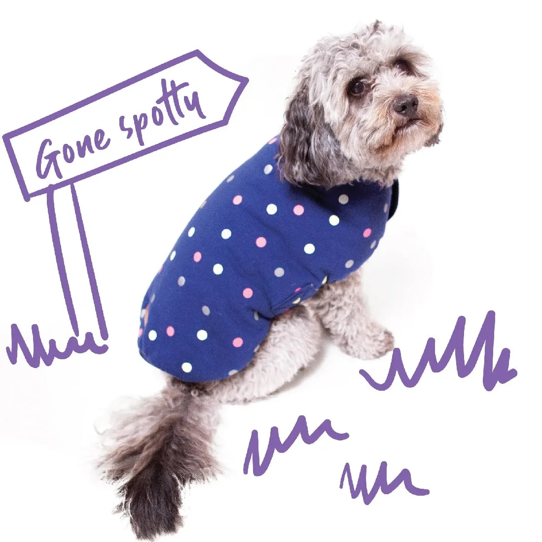 1 Pet X Kazoo Dog Rug Sprinkles Snuggle Original