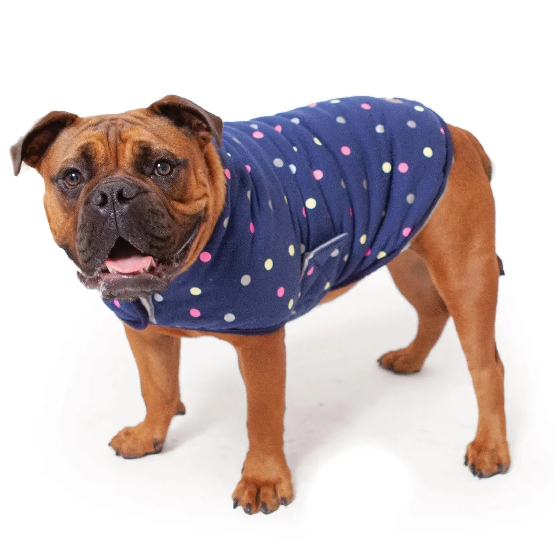 1 Pet X Kazoo Dog Rug Sprinkles Snuggle Original