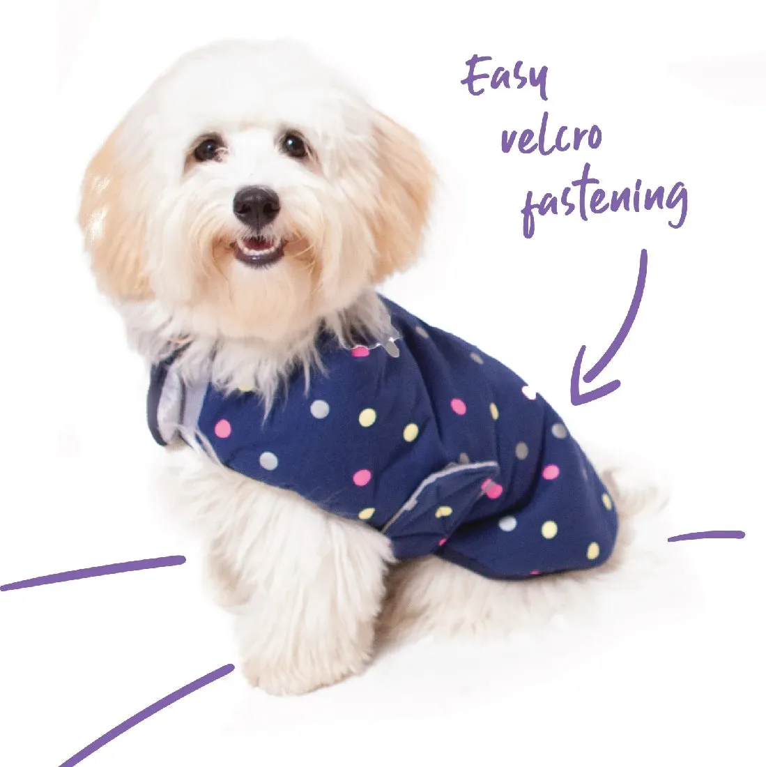 1 Pet X Kazoo Dog Rug Sprinkles Snuggle Original