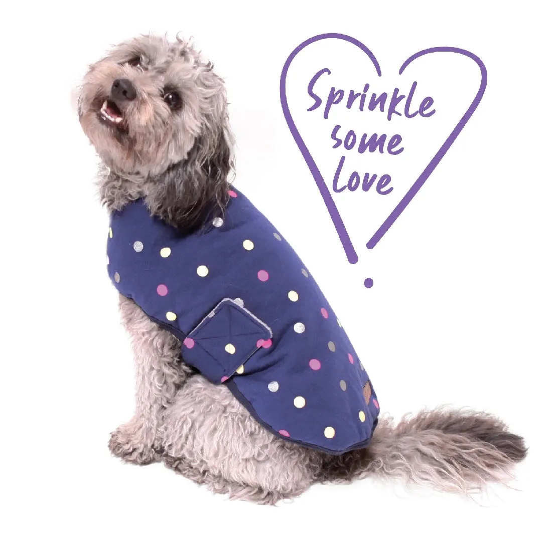 1 Pet X Kazoo Dog Rug Sprinkles Snuggle Original