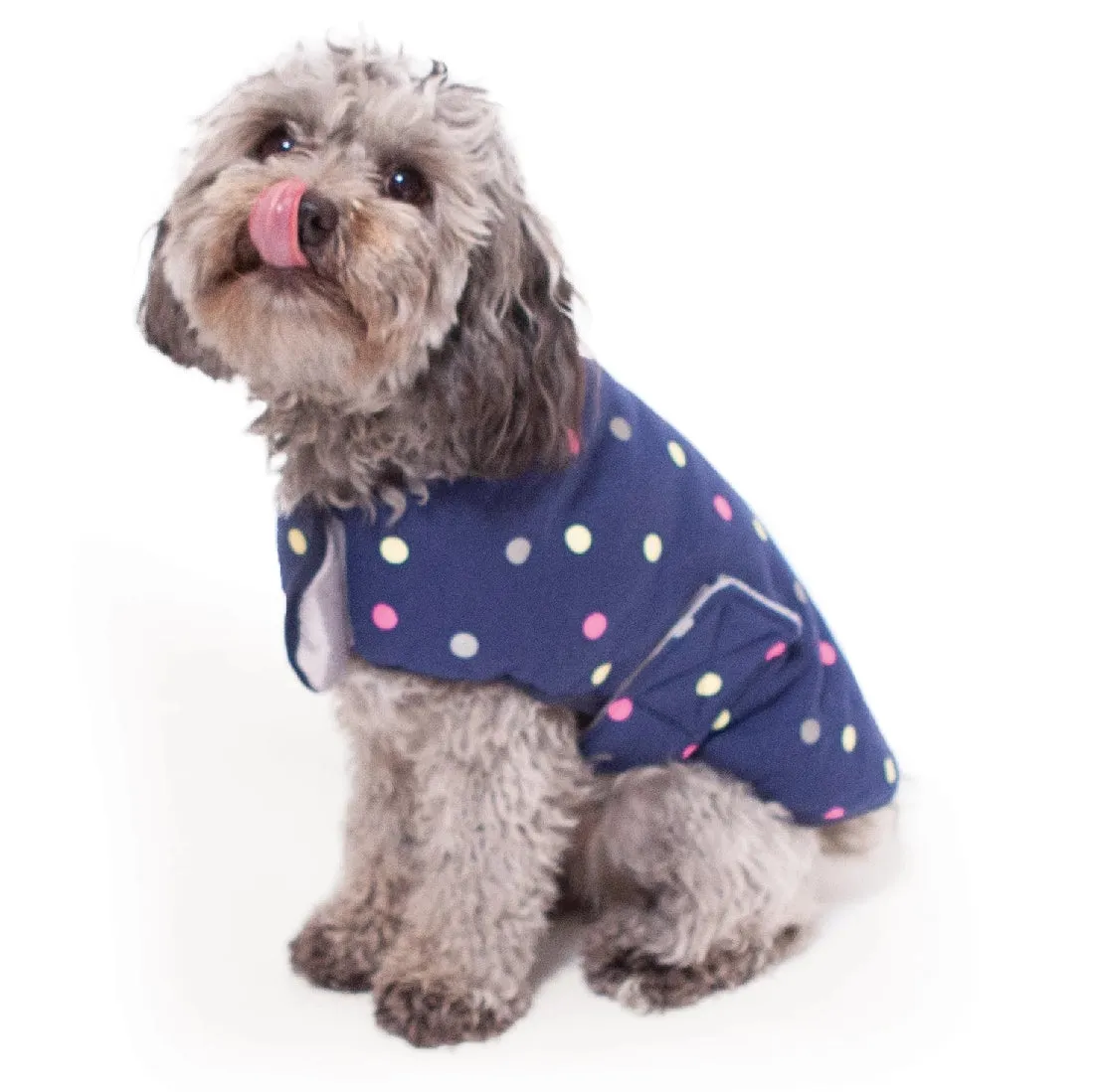 1 Pet X Kazoo Dog Rug Sprinkles Snuggle Original