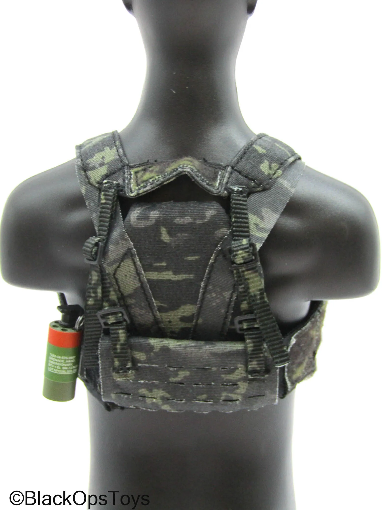 Veteran Tactical Instructor Z - Black Multicam Body Armor w/Chest Rig